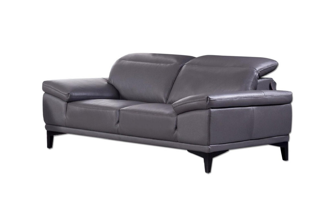 Daisy Modern Loveseat- jennifer furniture