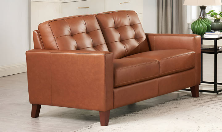 Aiden Leather Living Room Set