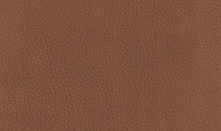 Aria Leather Chair In Saddle Brown-Jennifer Furniture