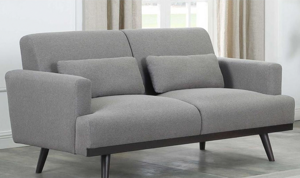 Coaster Furniture Blake Fabric Cushion Arm Loveseat in Light Gray-Jennifer Furniture