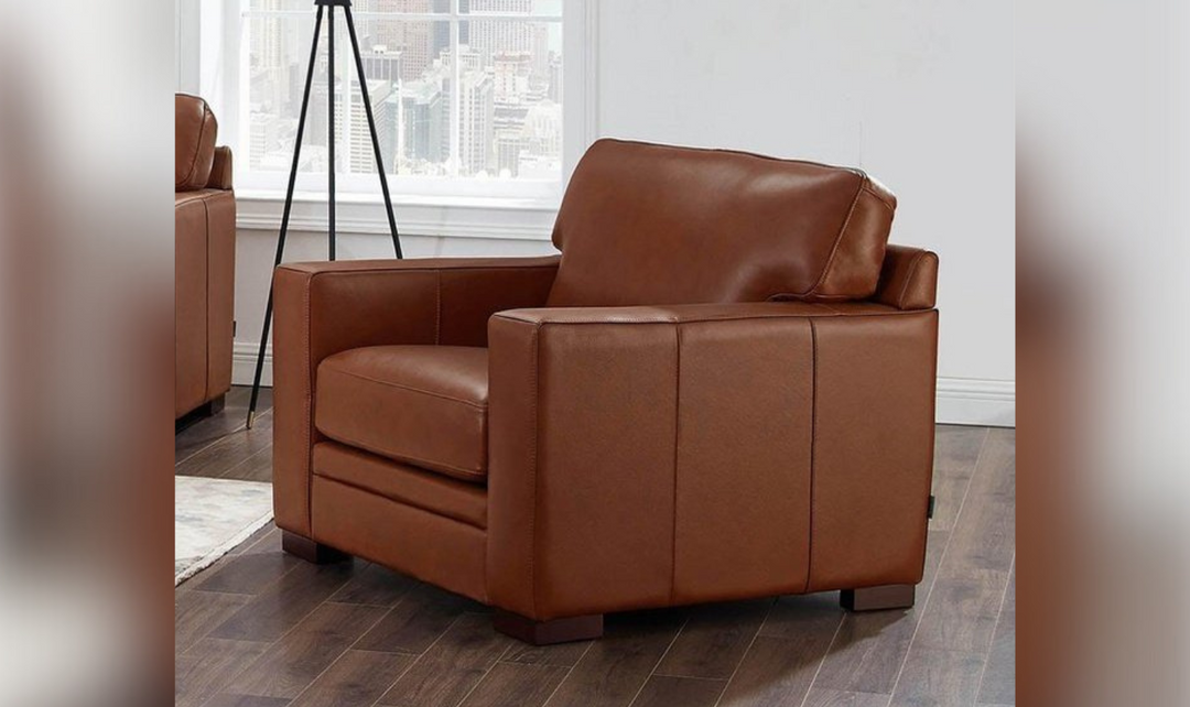 Dillon Leather Living Room Set