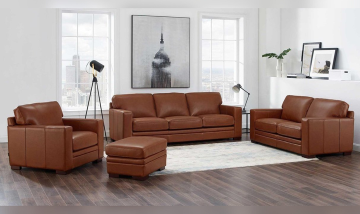 Dillon Leather Living Room Set