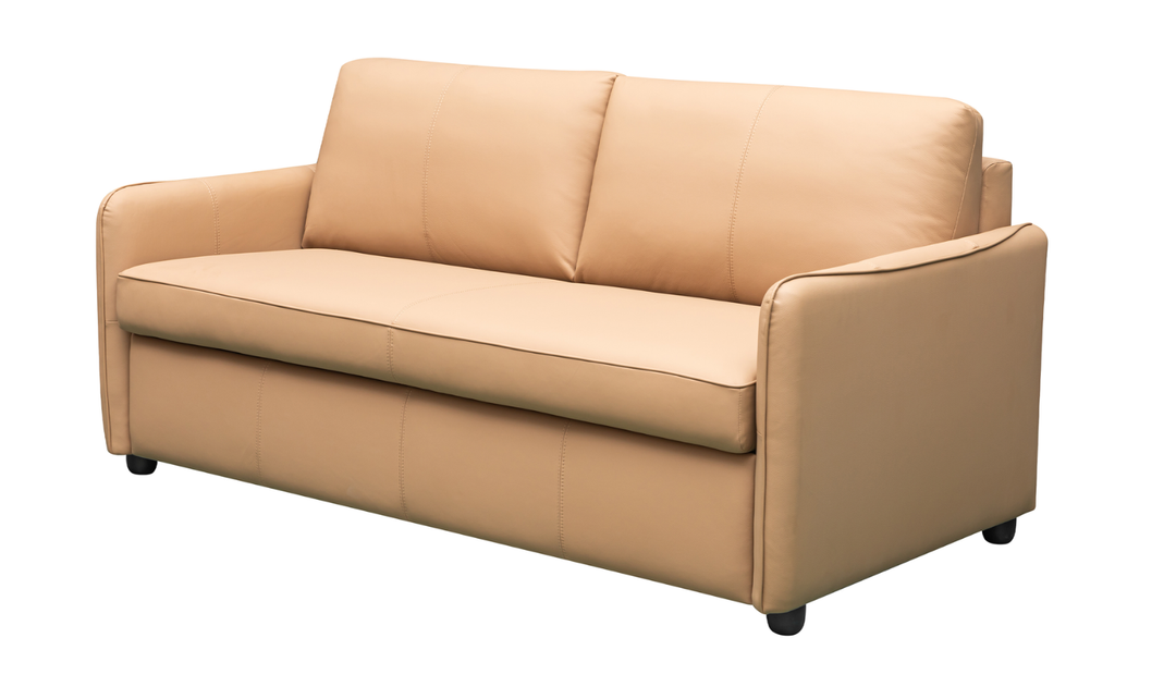 Gio Italia Jennifer Smart 2-Seater Leather Queen Sleeper Sofa