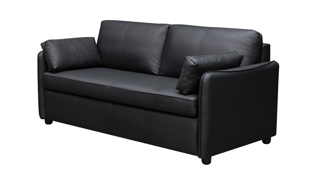 Gio Italia Jennifer Smart 2-Seater Leather Queen Sleeper Sofa