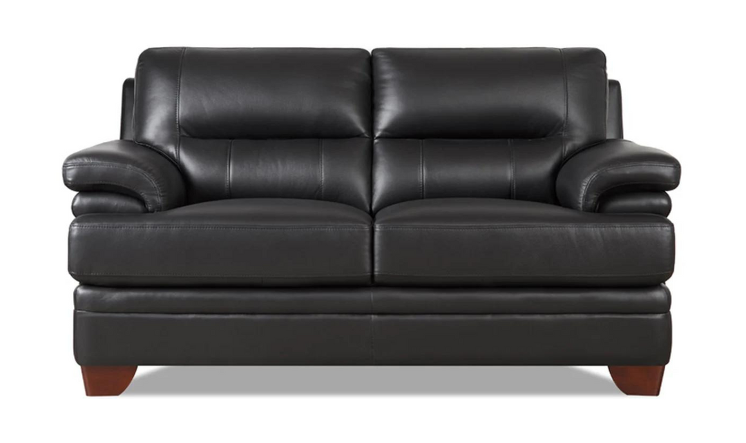 Luxor 2-Seater Leather Loveseat With Cushion Arms